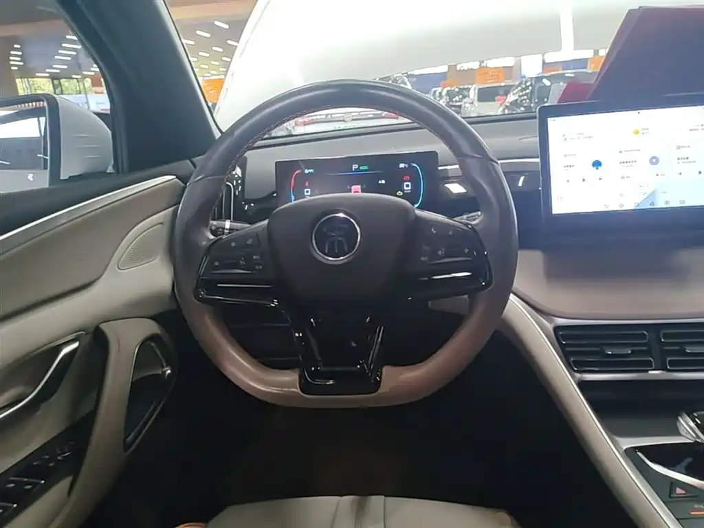 BYD Pro New Energy — фото 11