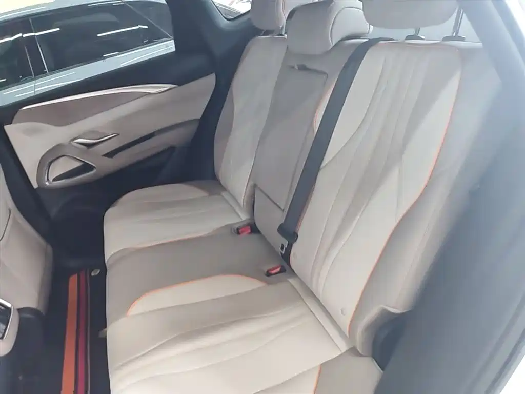 BYD Pro New Energy — фото 17