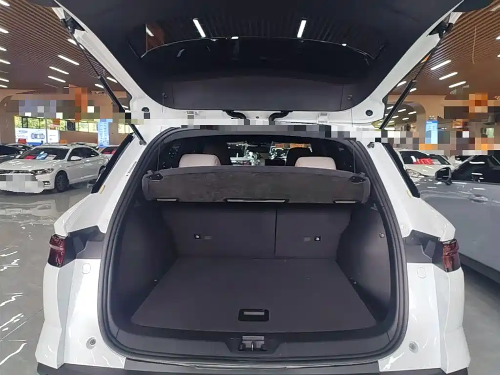 BYD Pro New Energy — фото 19