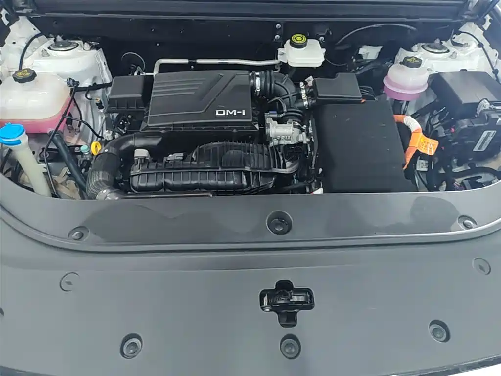 BYD Pro New Energy — фото 20