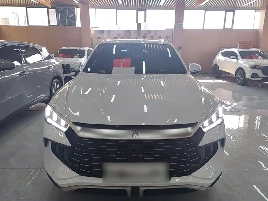 BYD Pro New Energy — фото 3