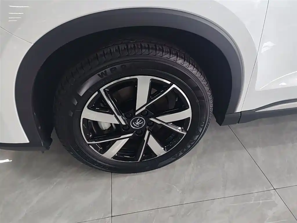 BYD Pro New Energy — фото 23