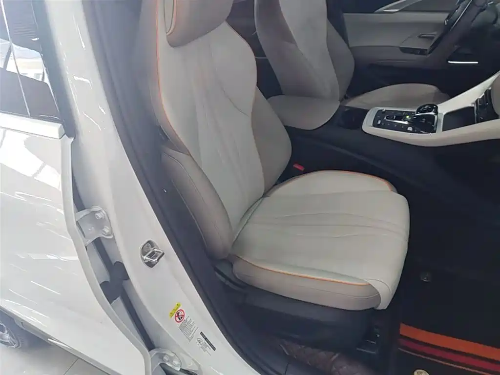 BYD Pro New Energy — фото 25