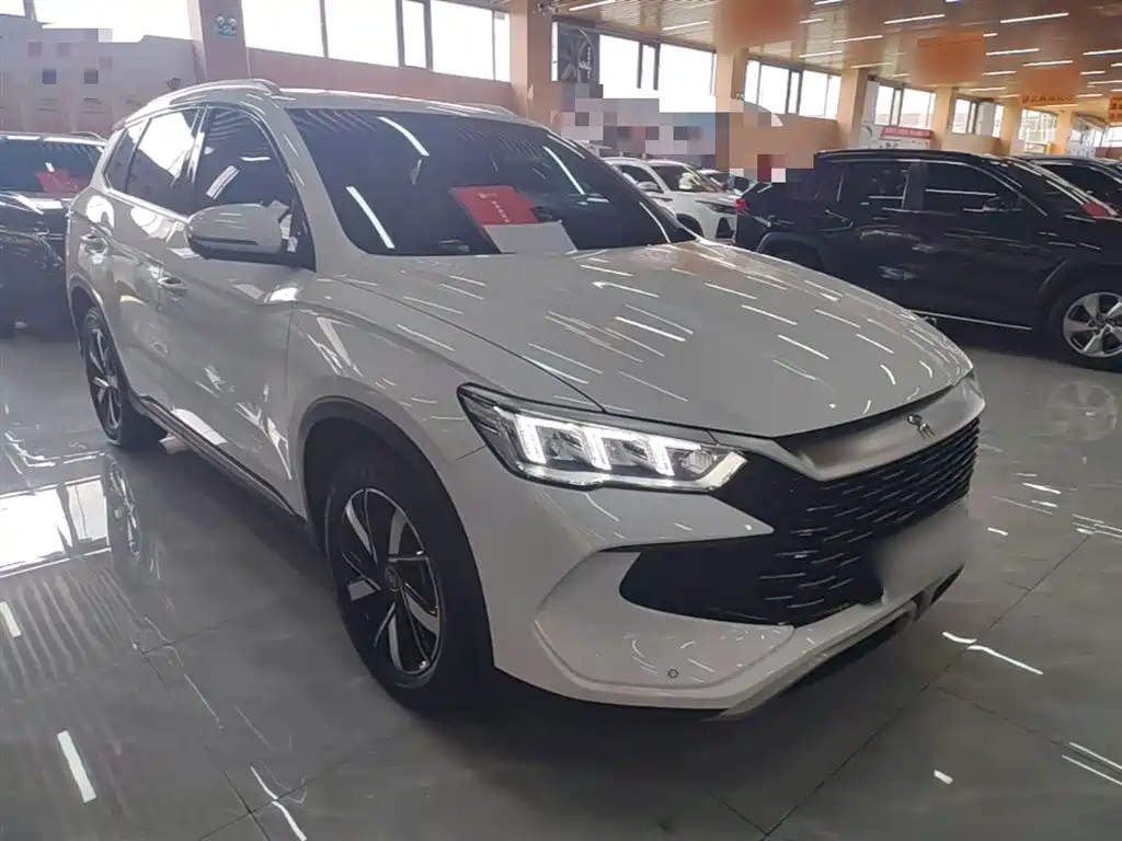 BYD Pro New Energy — фото 4