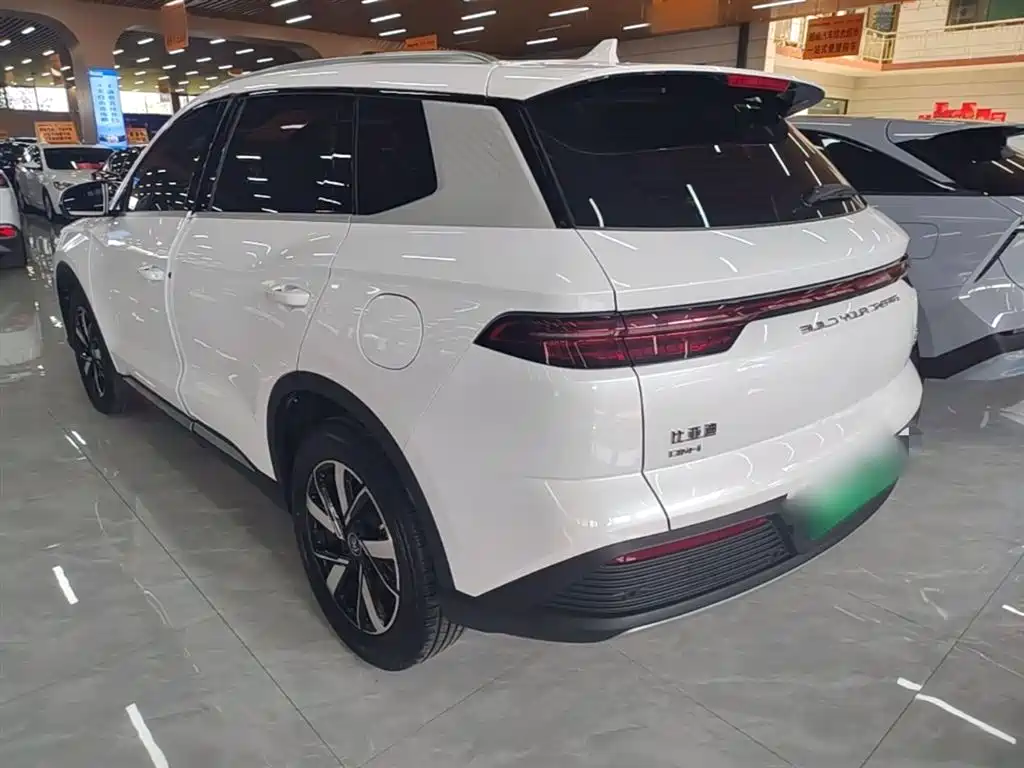 BYD Pro New Energy — фото 5