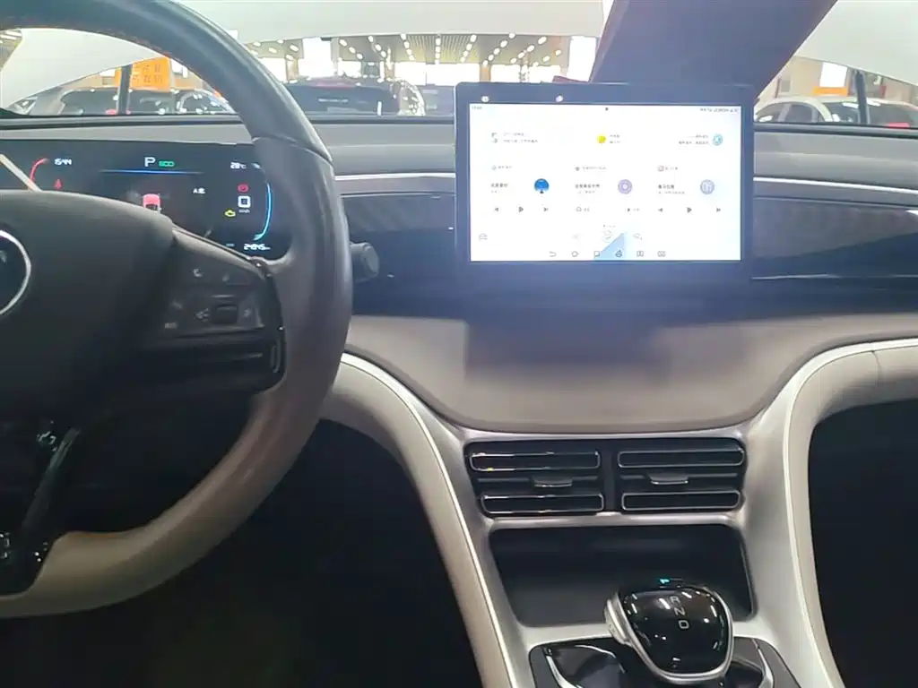 BYD Pro New Energy — фото 10
