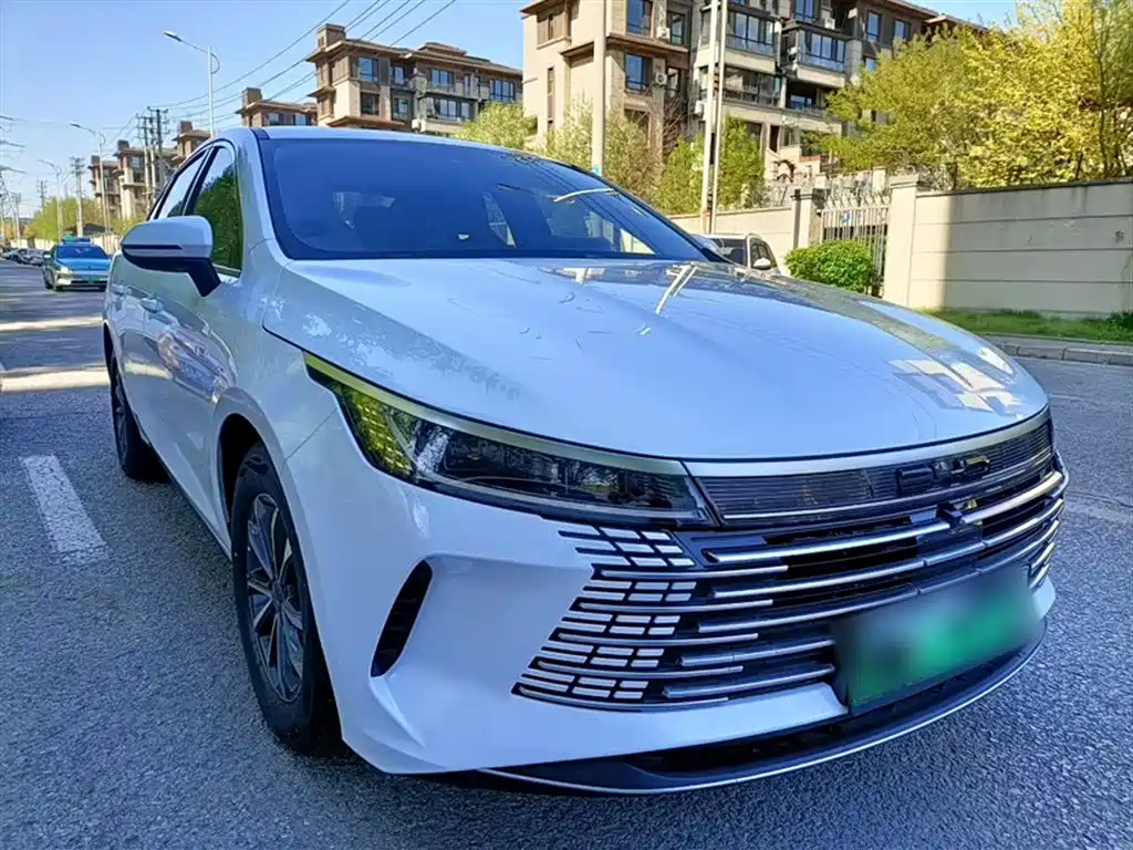 BYD Destroyer 05 — фото 3