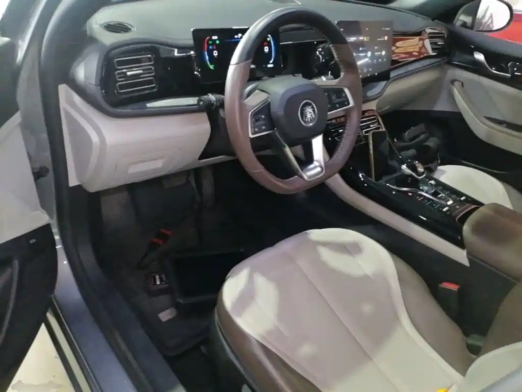 BYD Qin PLUS — фото 10