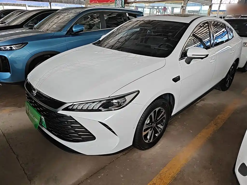 BYD Qin PLUS — фото 2