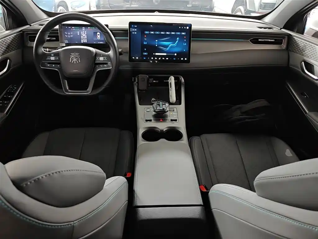BYD Qin PLUS — фото 10