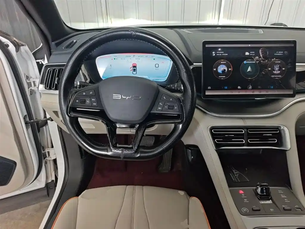 BYD PLUS New Energy — фото 11