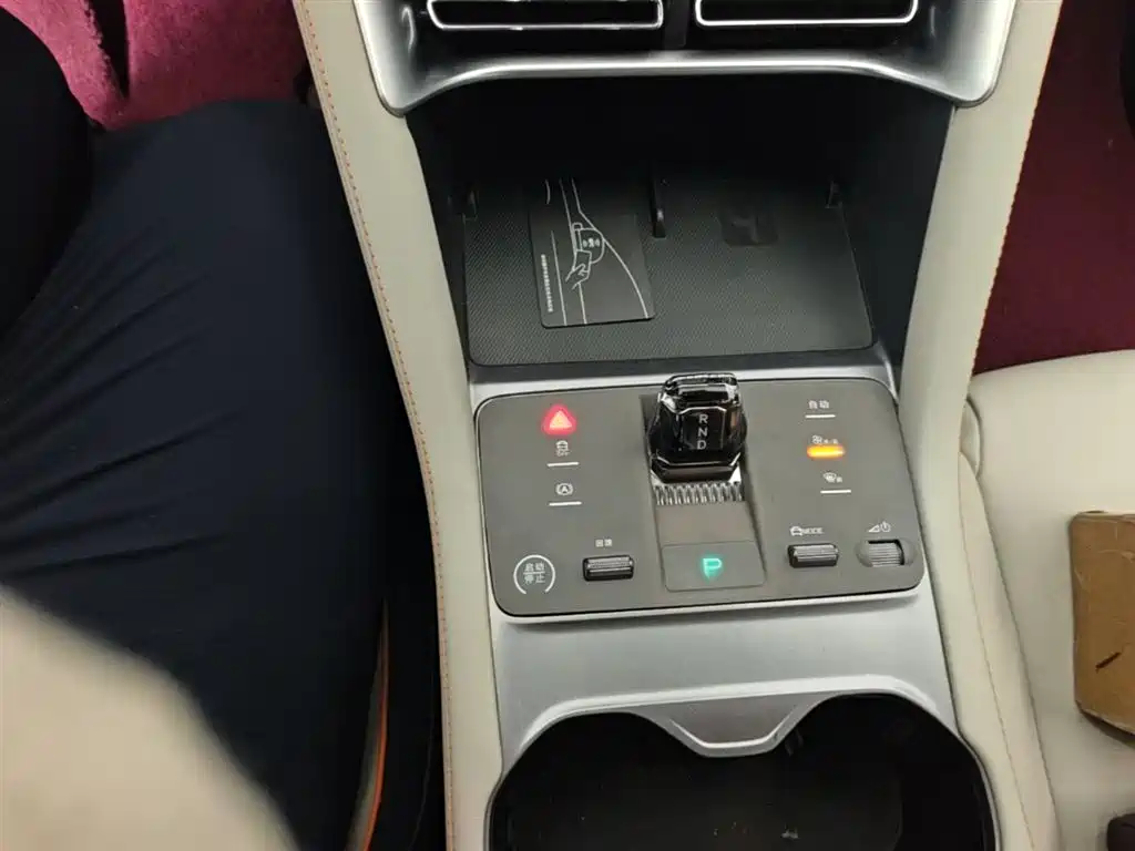 BYD PLUS New Energy — фото 14