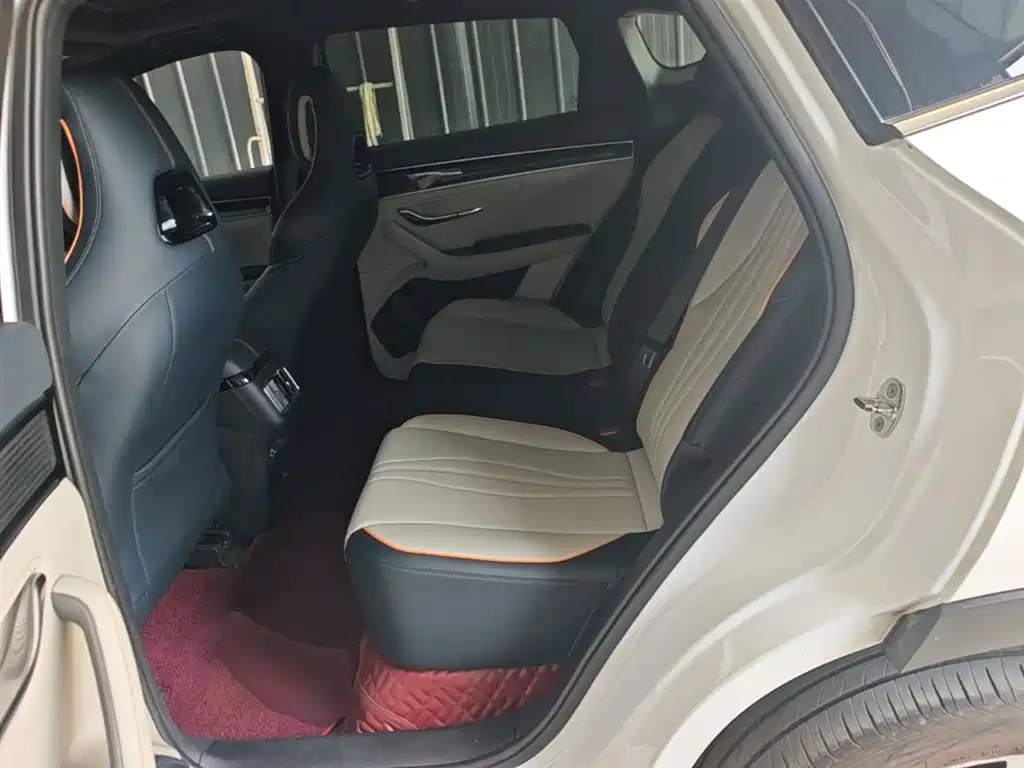 BYD PLUS New Energy — фото 17