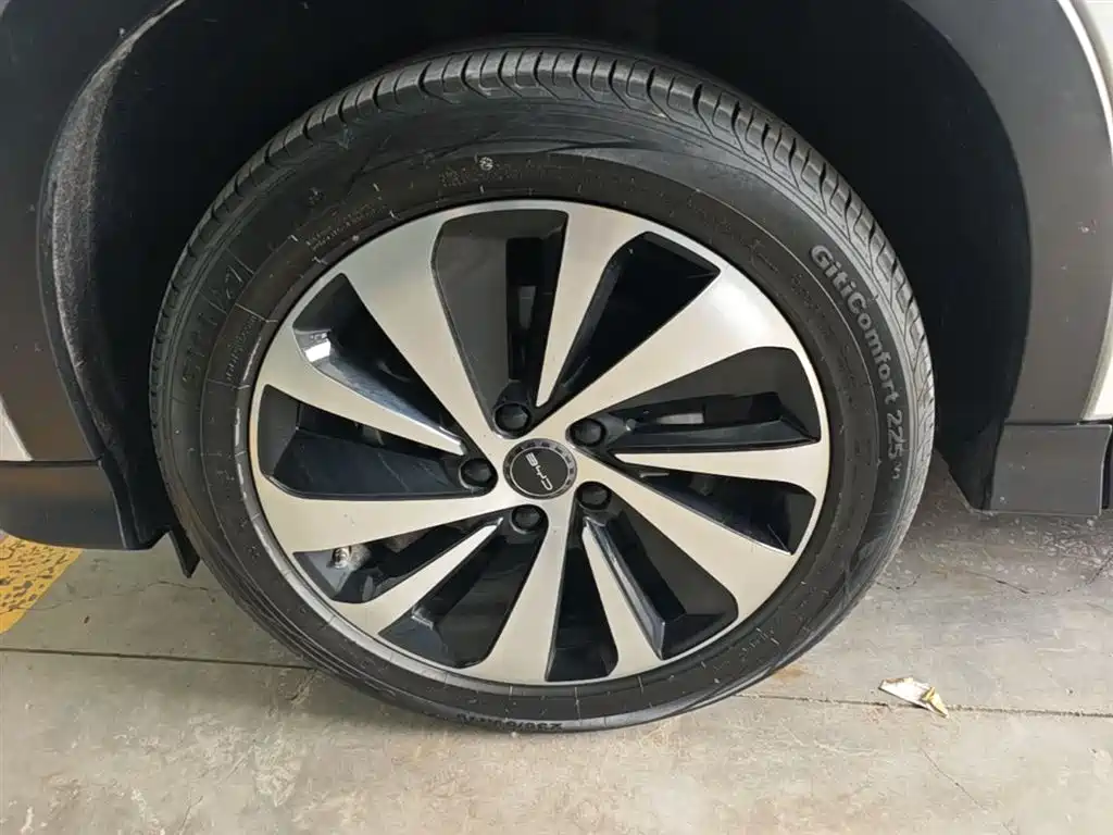 BYD PLUS New Energy — фото 23