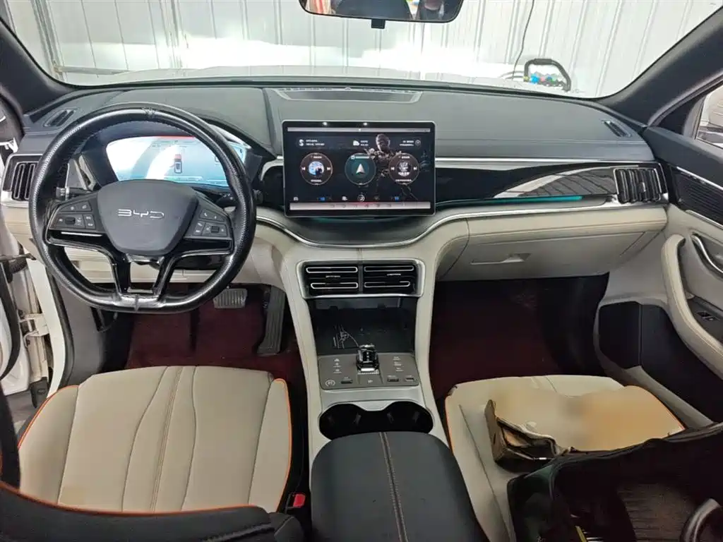 BYD PLUS New Energy — фото 10
