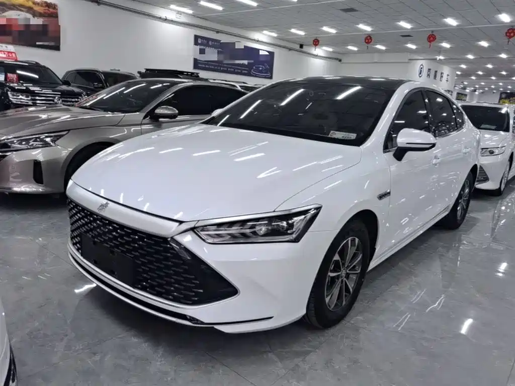 BYD Qin PLUS — фото 2