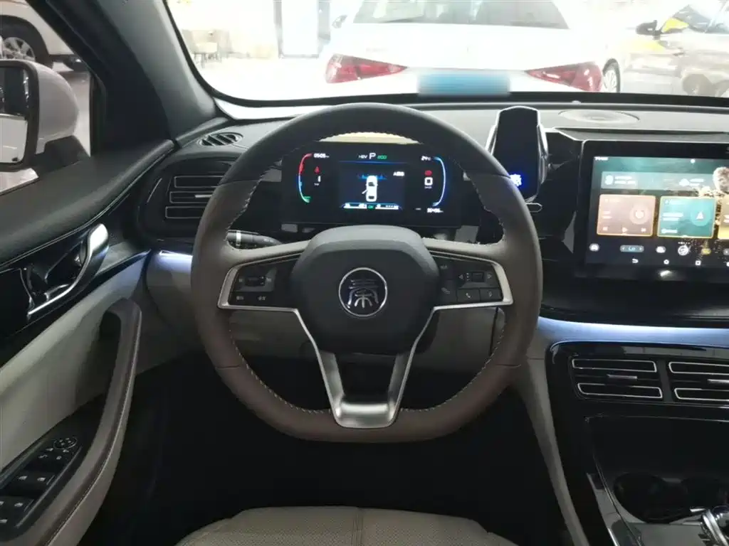 BYD Qin PLUS — фото 11