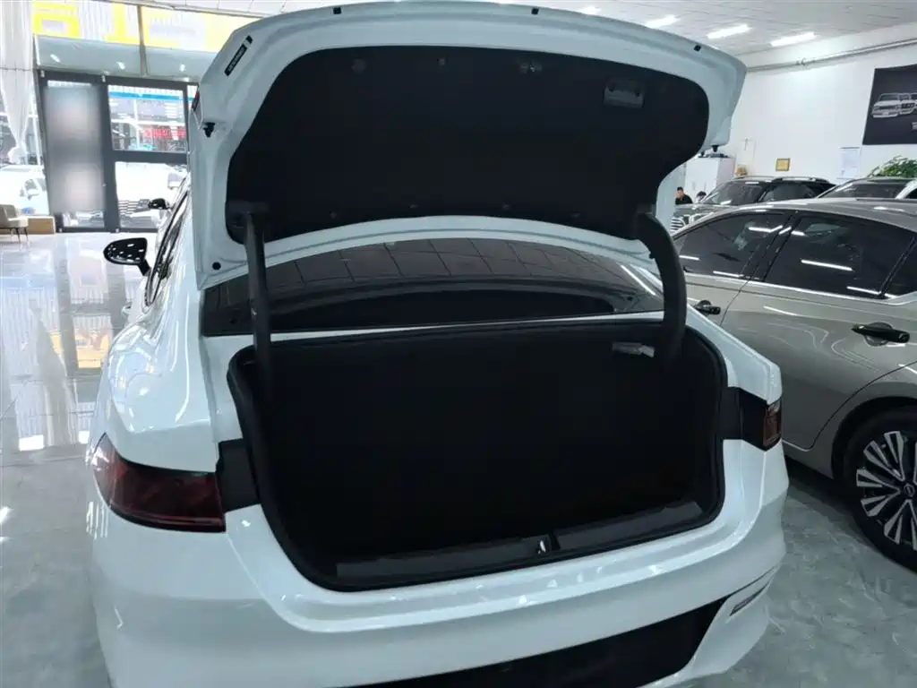 BYD Qin PLUS — фото 19