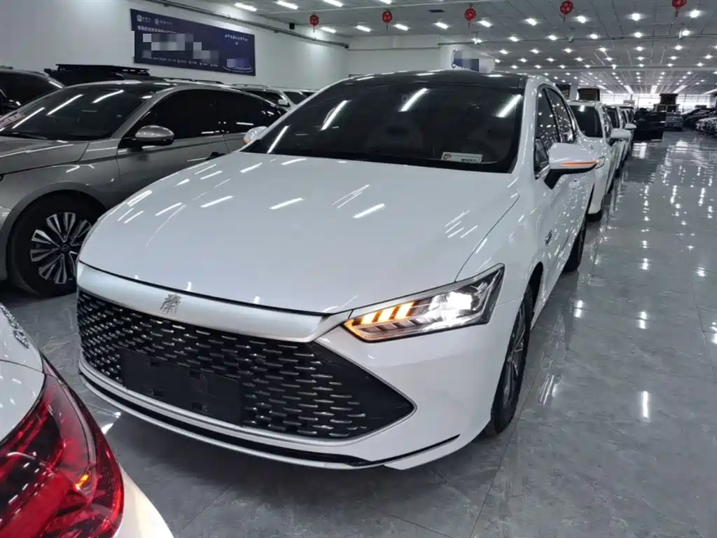 BYD Qin PLUS — фото 3