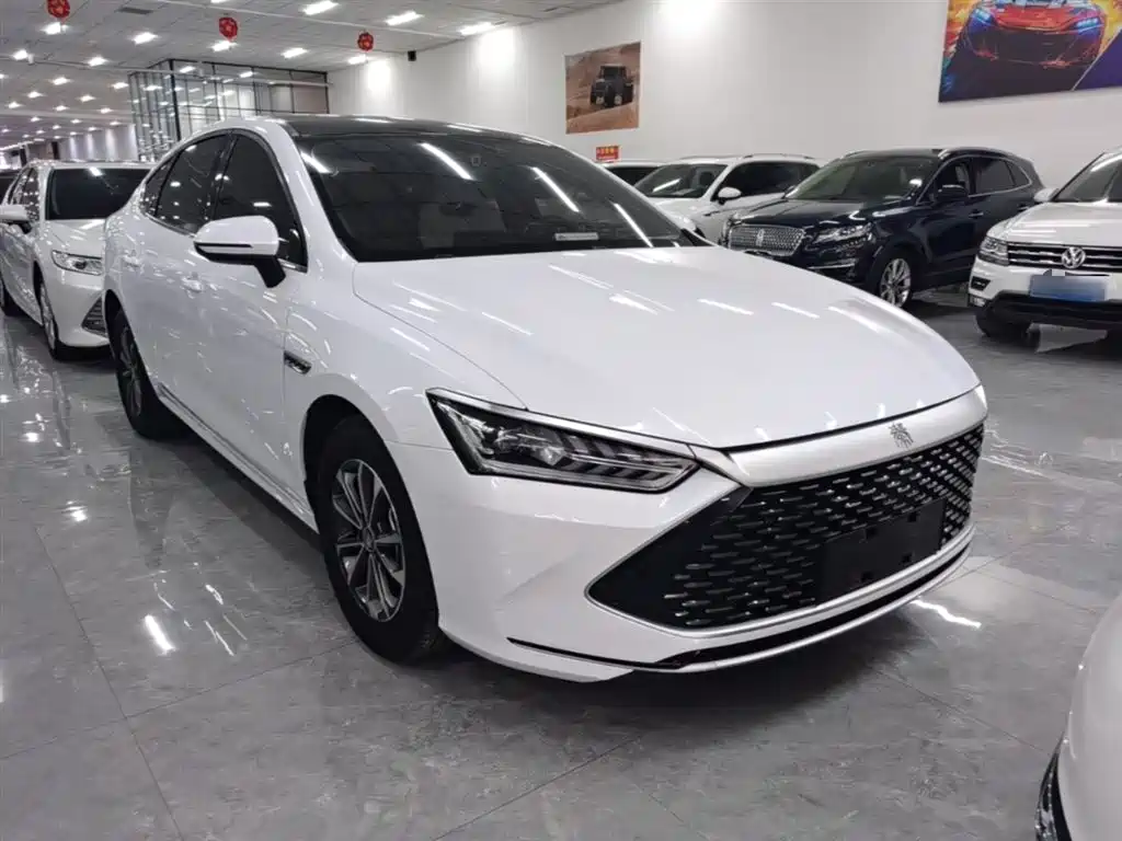 BYD Qin PLUS — фото 4