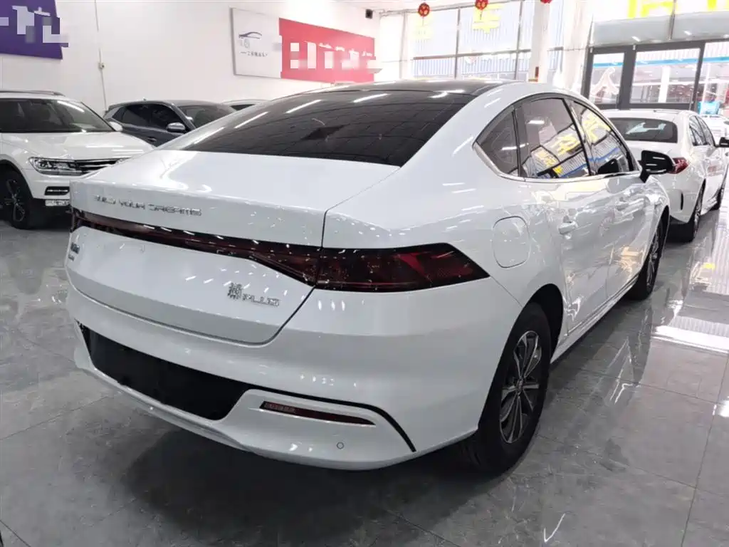 BYD Qin PLUS — фото 7