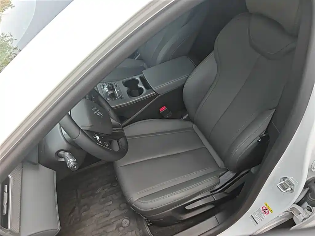 BYD Qin PLUS — фото 15