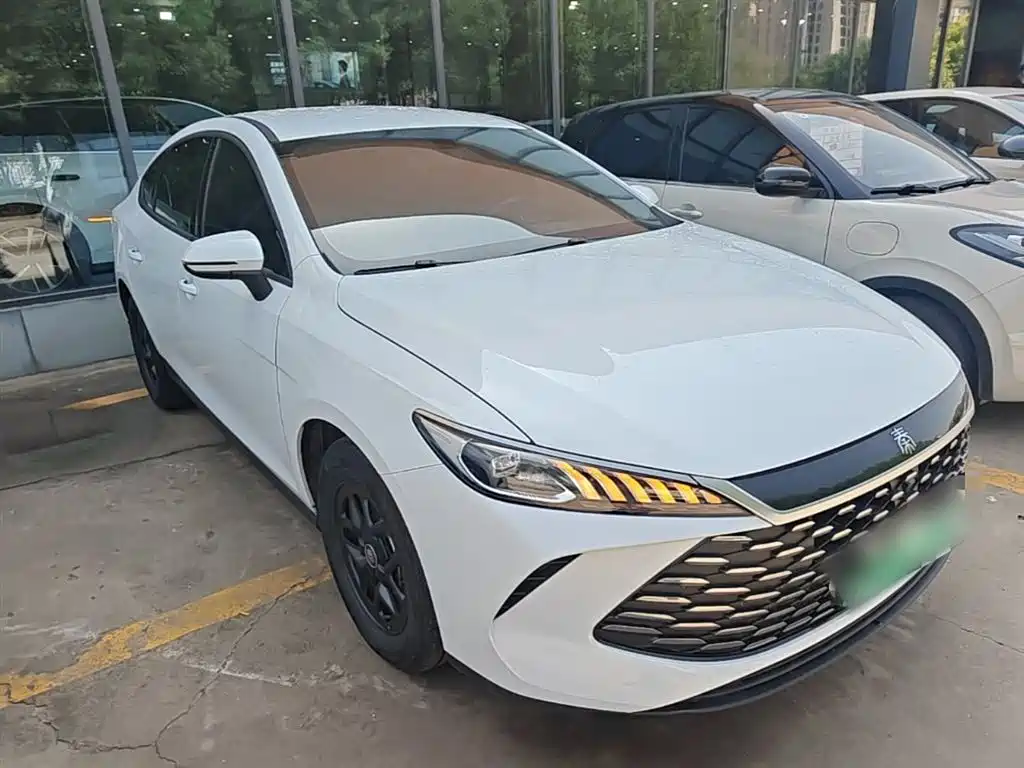BYD Qin PLUS — фото 4