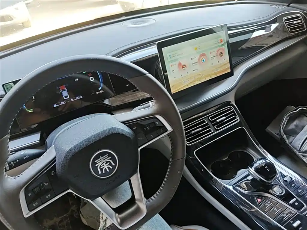BYD Qin PLUS — фото 10