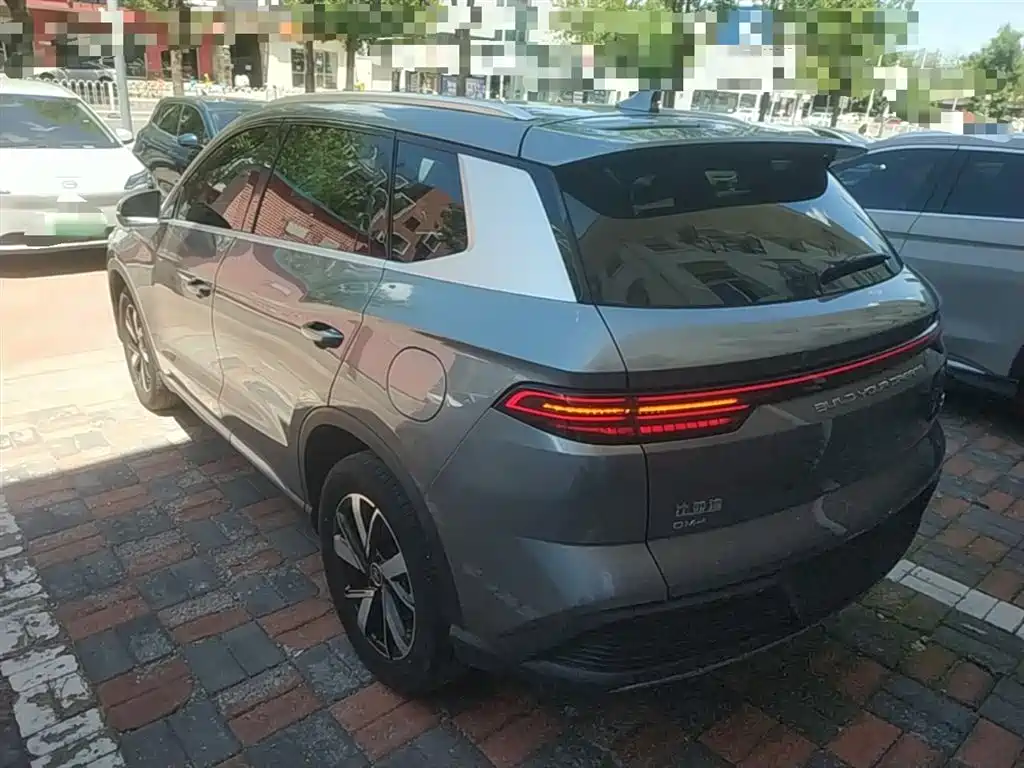BYD Pro New Energy — фото 5