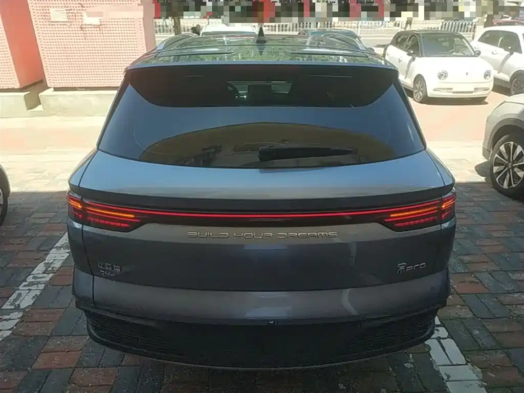 BYD Pro New Energy — фото 6