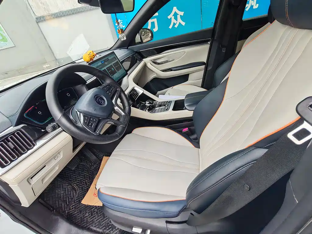 BYD PLUS New Energy — фото 4