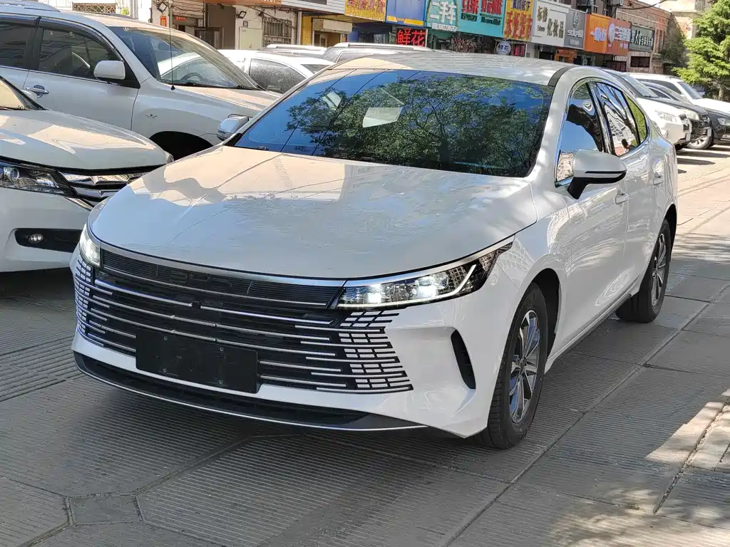 BYD Destroyer 05 — фото 2