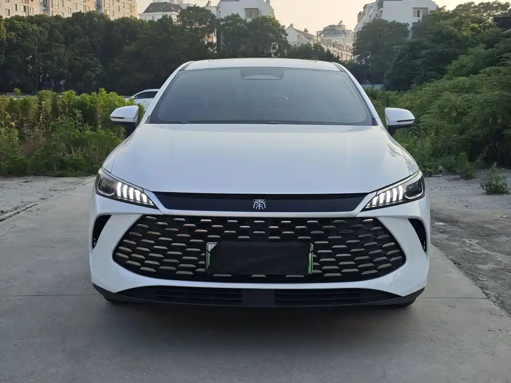 BYD Qin PLUS — фото 2