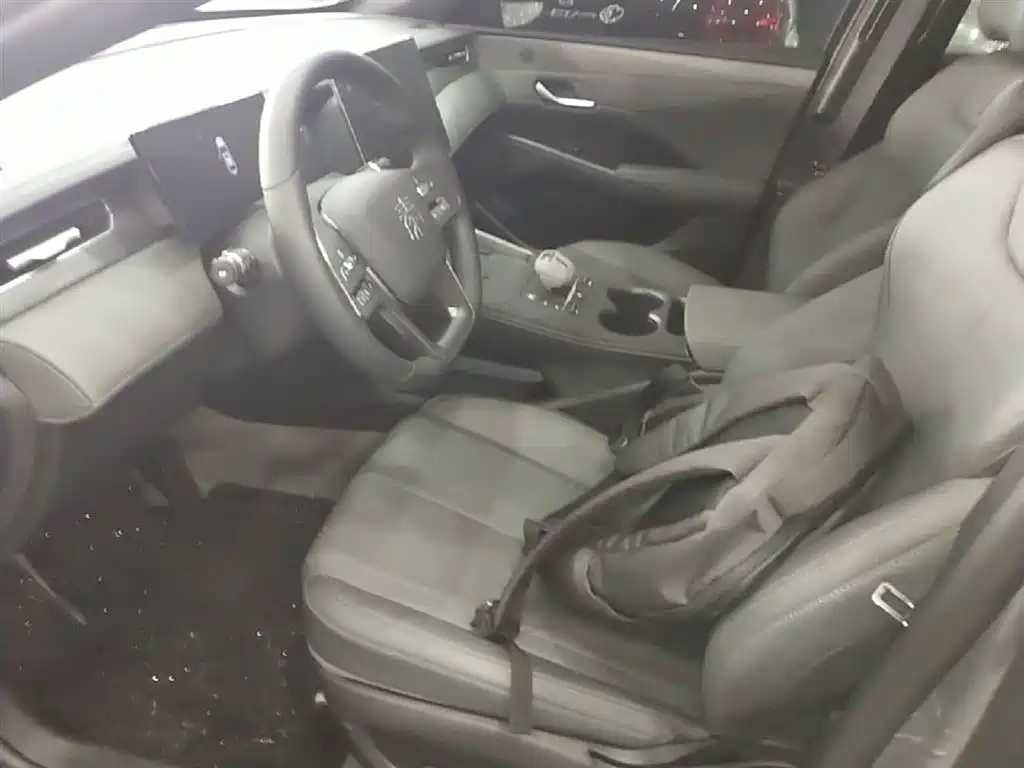 BYD Qin PLUS — фото 15