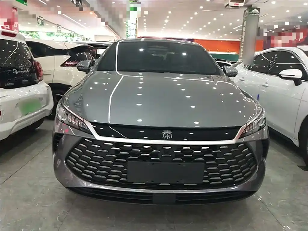 BYD Qin PLUS — фото 3