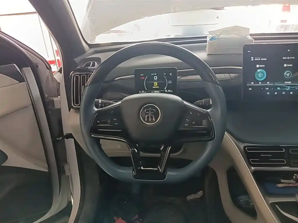 BYD Pro — фото 11