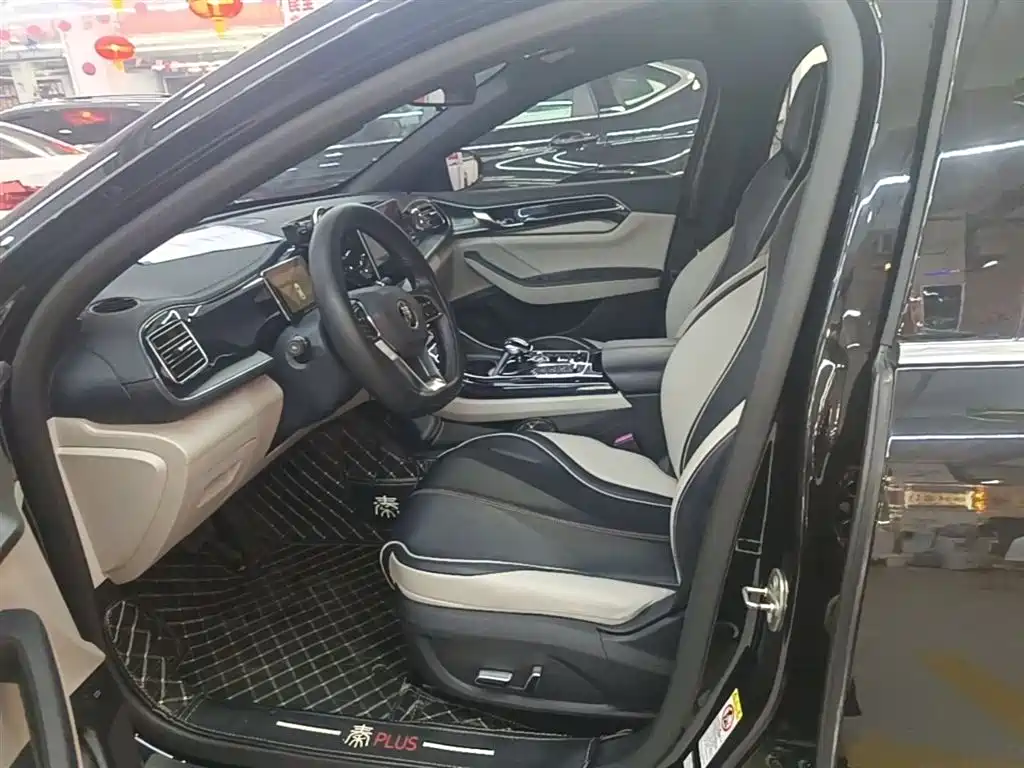 BYD Qin PLUS — фото 14