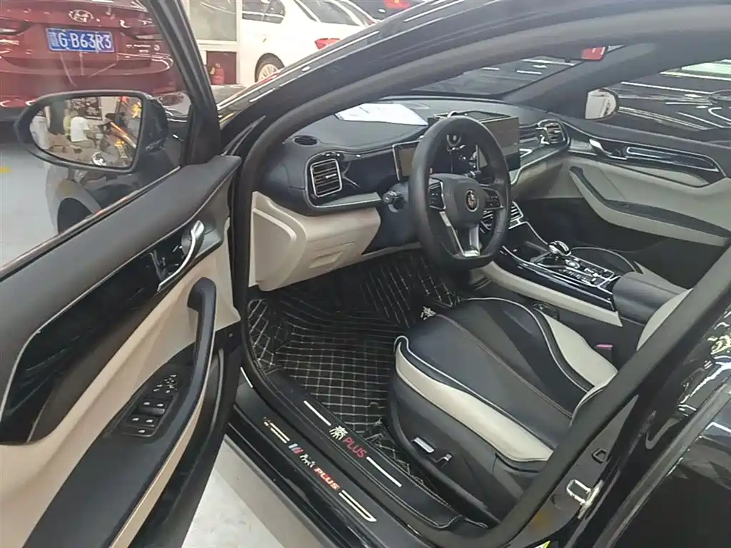 BYD Qin PLUS — фото 15