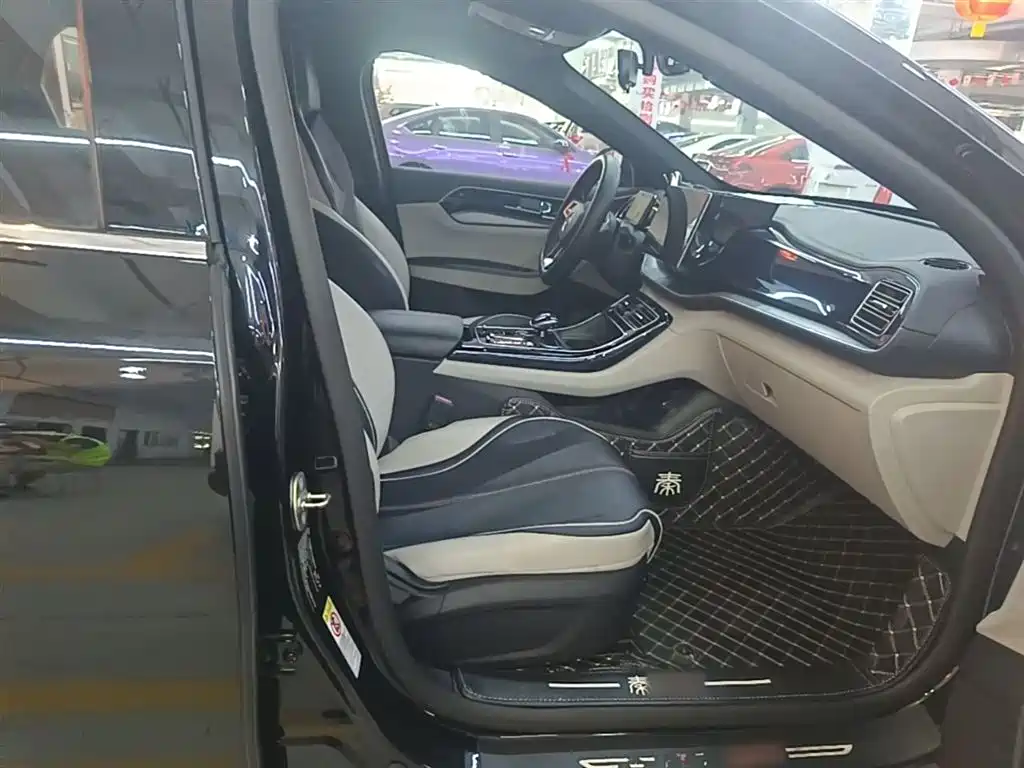 BYD Qin PLUS — фото 24