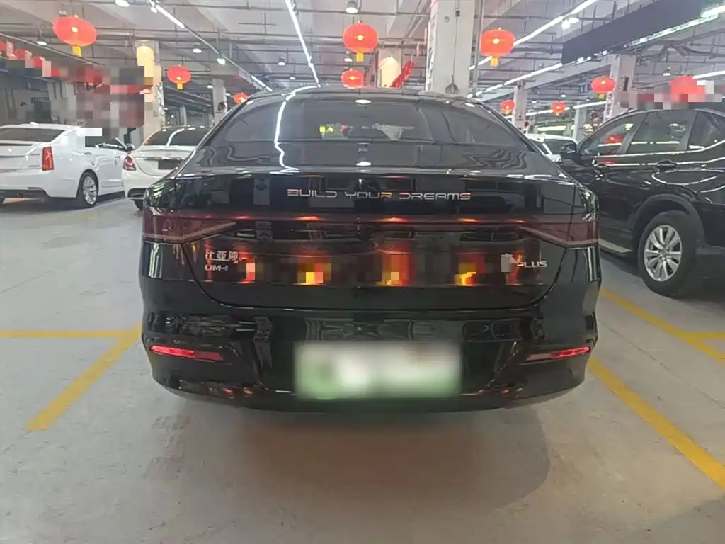 BYD Qin PLUS — фото 5