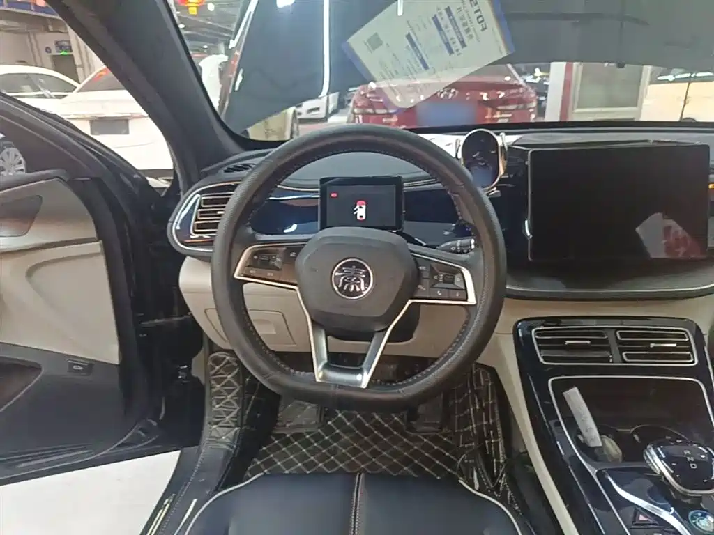 BYD Qin PLUS — фото 10