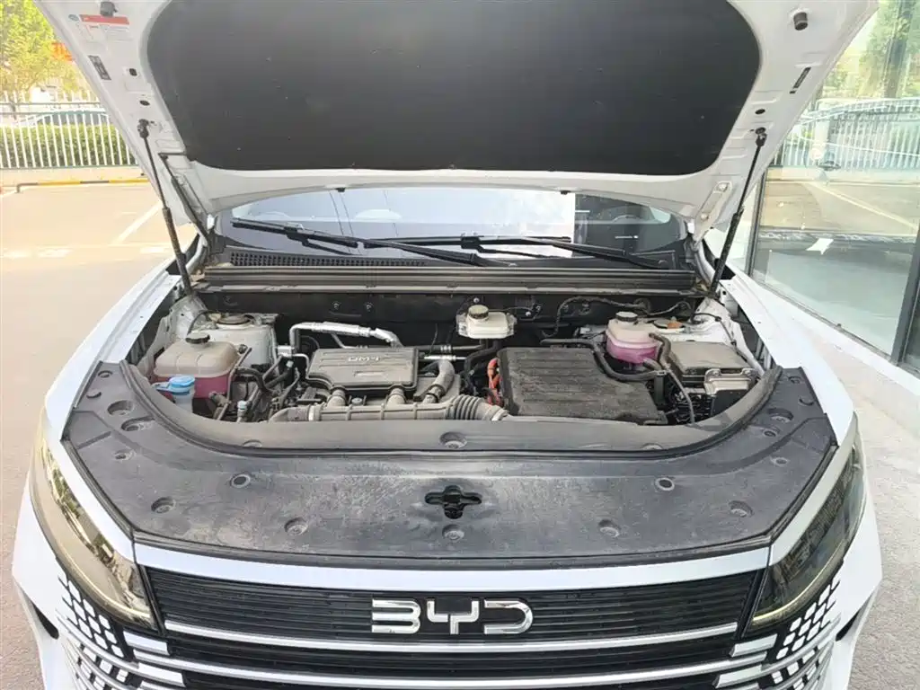 BYD Sealion 05 DM-i — фото 20