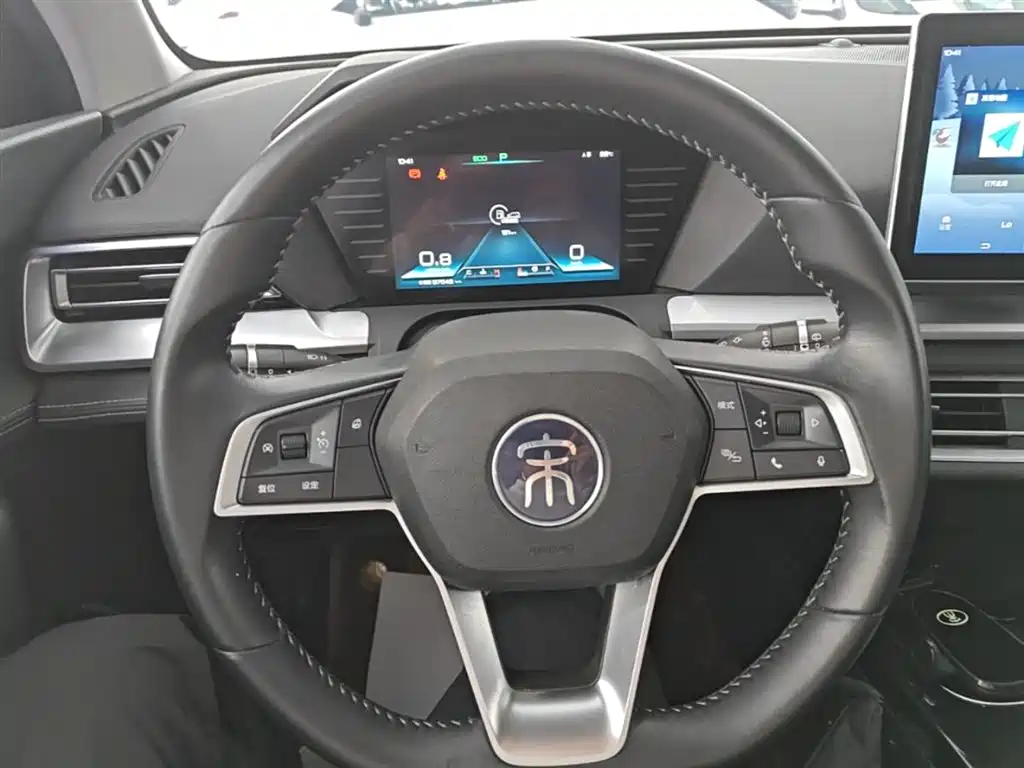 BYD Pro — фото 11