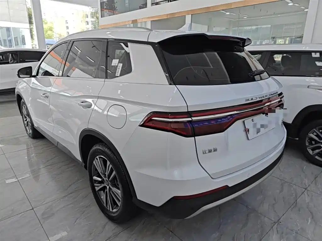 BYD Pro — фото 5