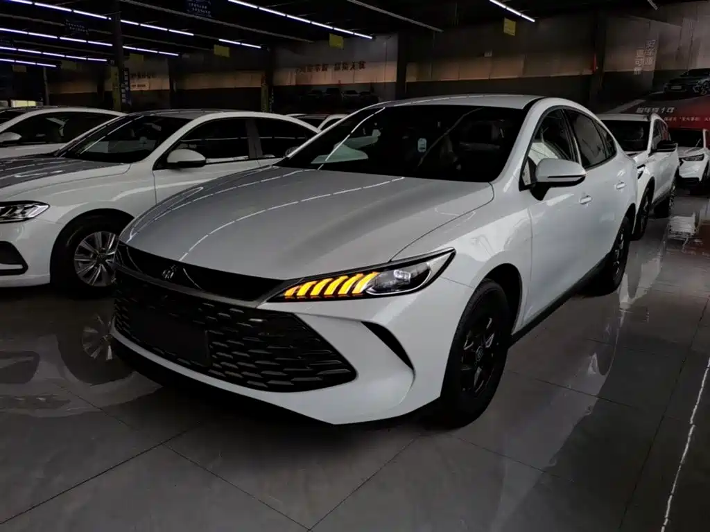 BYD Qin PLUS — фото 2