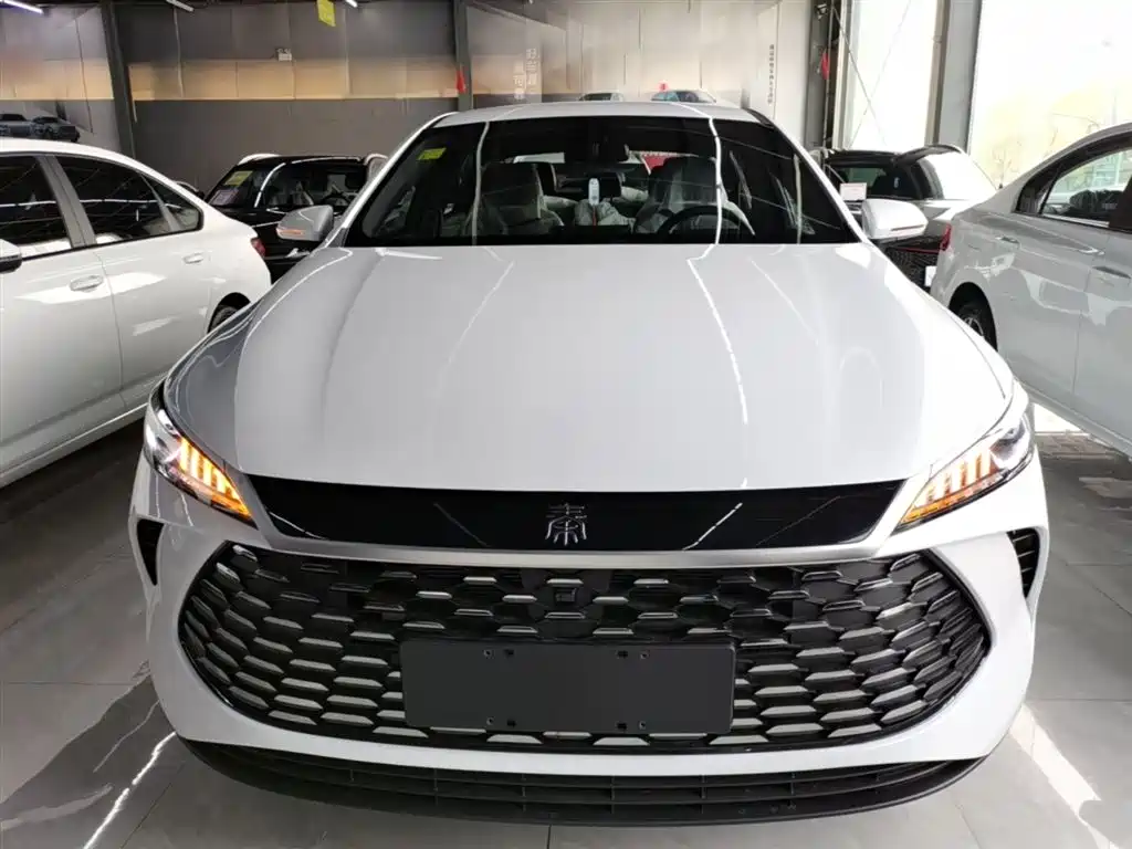 BYD Qin PLUS — фото 3