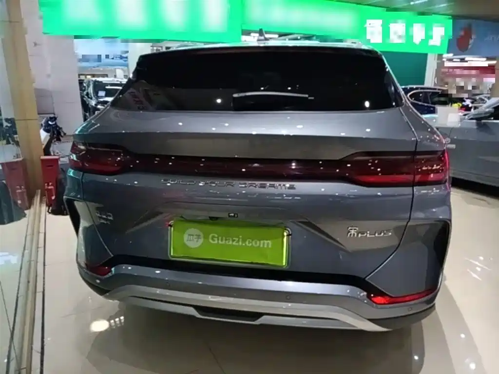BYD PLUS New Energy — фото 6