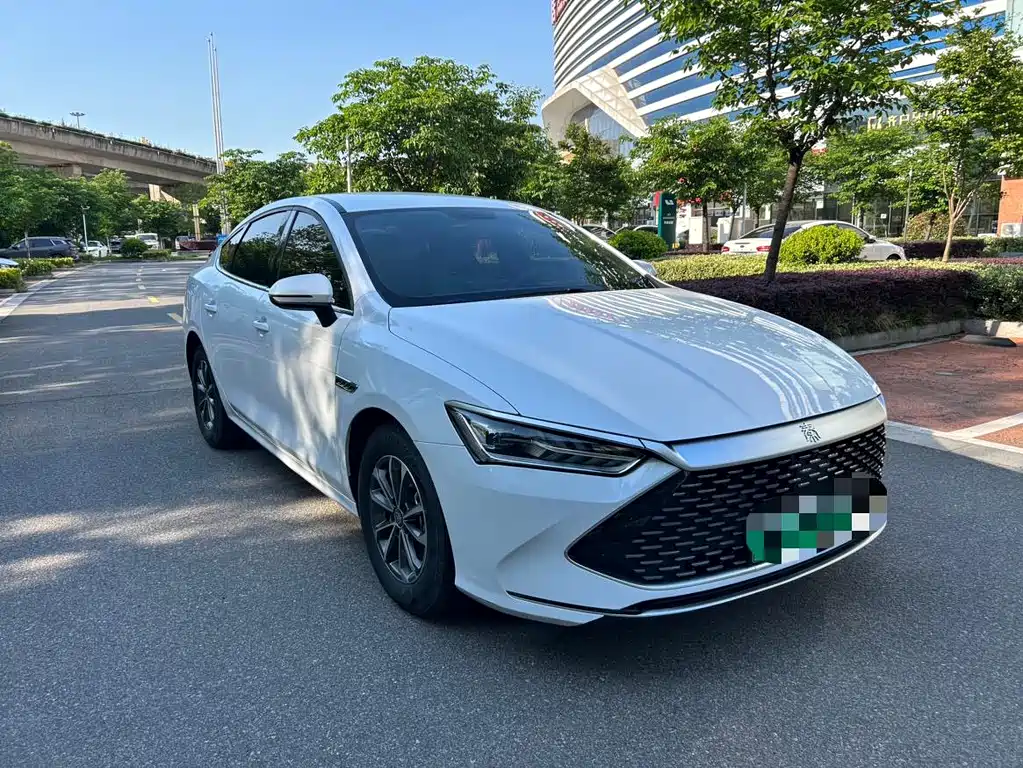 BYD Qin PLUS — фото 3