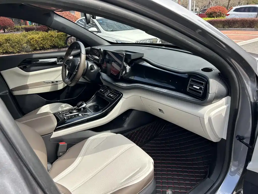BYD Qin PLUS — фото 11