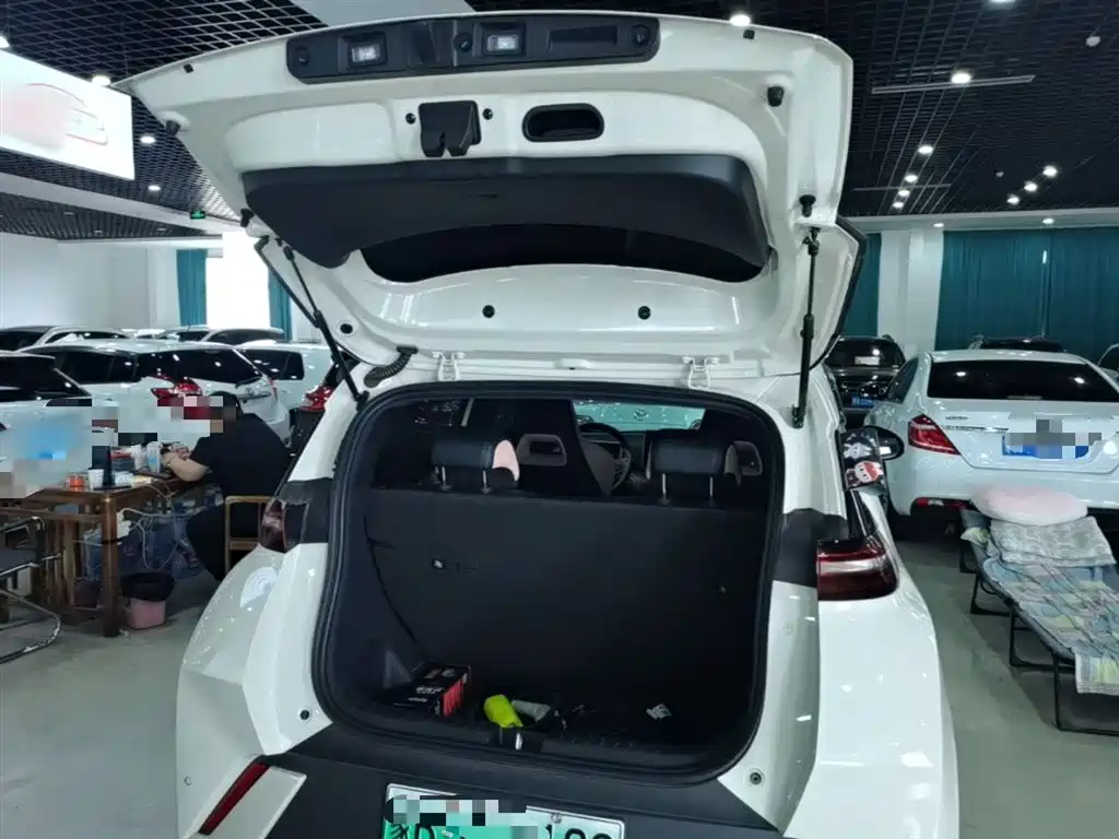 BYD Seagull — фото 19